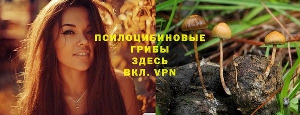 дмт Абинск