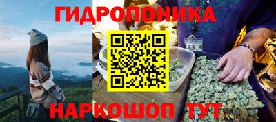 прущие крисы Абакан