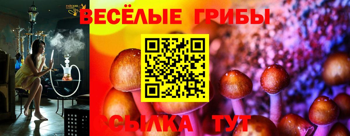Псилоцибиновые грибы прущие грибы Александров