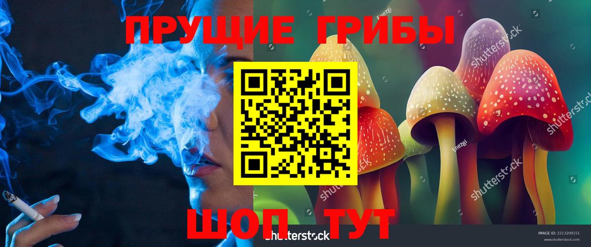 Александров  Галлюциногенные грибы Magic Shrooms  Псилоцибиновые грибы ЛСД  Вход с VPN 